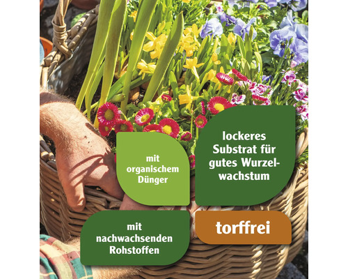 Blumen in einem Korb mit Hinweisen zu organischem Dünger, lockerem Substrat für gutes Wurzelwachstum, nachwachsenden Rohstoffen und torffreier Beschaffenheit
