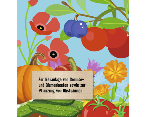 Illustration von Gemüse und Obst zur Neuanlage von Gemüse- und Blumenbeeten sowie zur Pflanzung von Obstbäumen