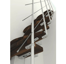 Wendeltreppe mit Holzstufen und weißem Geländer