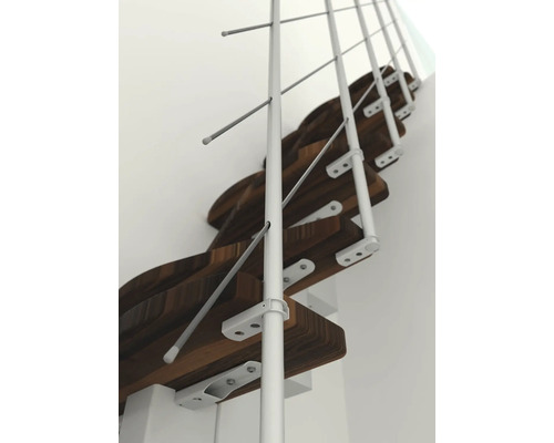 Wendeltreppe mit Holzstufen und weißem Geländer