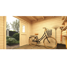 Intérieur d''une cabane de jardin avec vélo, outils de jardin et vue sur le jardin
