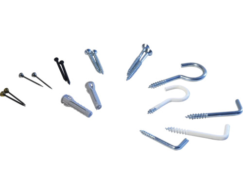 Assortiment de clous, vis et chevilles différents