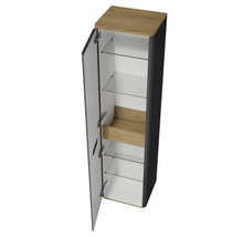 Offener Bad-Hängeschrank mit Regalböden aus Glas und Tür