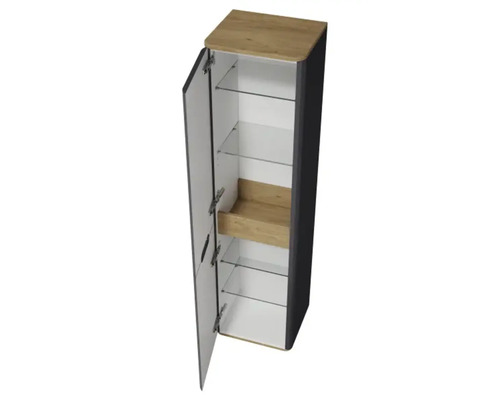Offener Bad-Hängeschrank mit Regalböden aus Glas und Tür