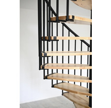 Detailansicht einer Wendeltreppe mit Holzstufen und Metallgeländer