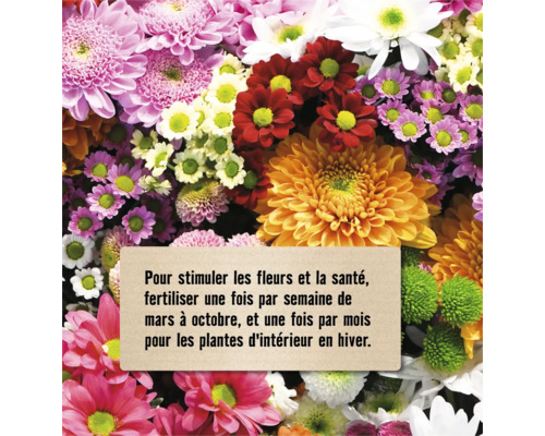 Arrangement floral avec instructions de fertilisation