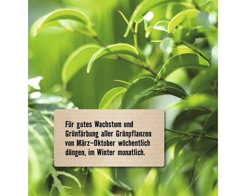 Hinweis zur Düngung von Grünpflanzen für gutes Wachstum