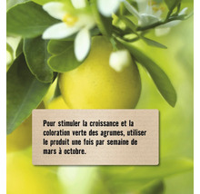 Agrume avec feuilles et fleur, note sur l''utilisation du produit pour favoriser la croissance
