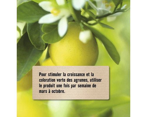Agrume avec feuilles et fleur, note sur l''utilisation du produit pour favoriser la croissance