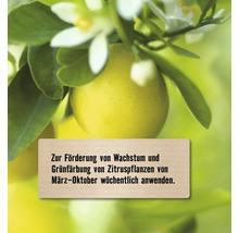 Hinweis zur Förderung von Wachstum und Grünfärbung von Zitruspflanzen, wöchentliche Anwendung von März bis Oktober.