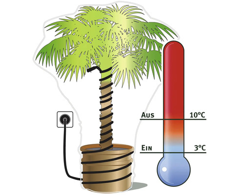 Illustration d''un palmier avec câble chauffant et thermomètre pour l''affichage de la température
