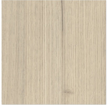 Gros plan de la structure du bois