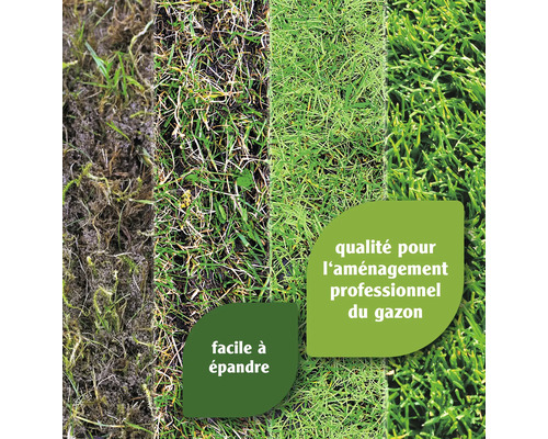 Différents types de gazon pour l''aménagement professionnel du gazon, facile à épandre