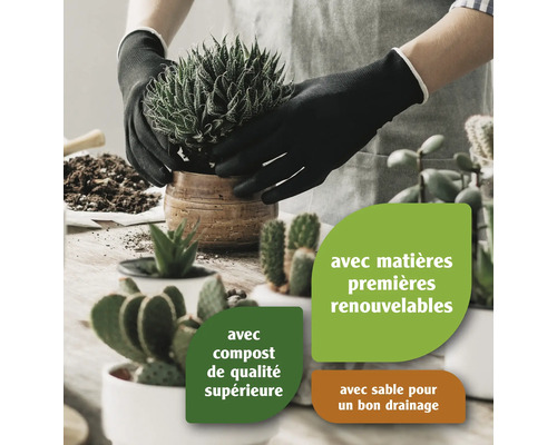 Personne plantant une plante grasse dans un pot avec des matières premières renouvelables, du compost de qualité supérieure et du sable drainant.