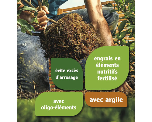 Personne tenant une plante avec des instructions pour éviter l''arrosage excessif, l''engrais nutritif, les oligo-éléments et l''argile