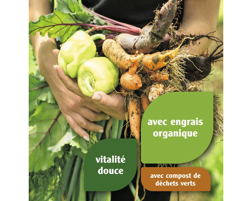 Des mains tiennent des légumes tels que des poivrons, des carottes et des betteraves