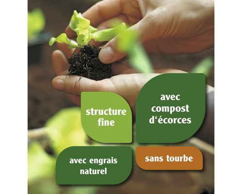 Les mains tiennent une plante de laitue avec des informations sur la structure fine, le compost d''écorce, les engrais naturels et l''absence de tourbe