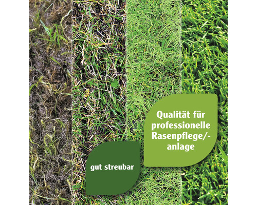 Bildercollage zur Rasenpflege und -anlage