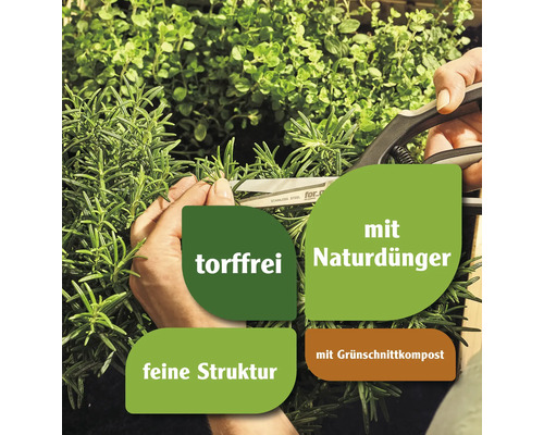 Eine Person schneidet Kräuter mit einer Gartenschere, umgeben von Textfeldern, die torffrei, mit Naturdünger, feine Struktur und mit Grünschnittkompost hervorheben.
