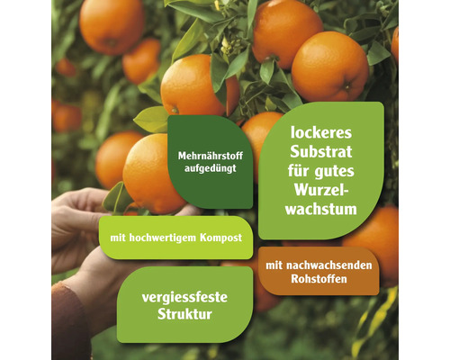 Mehr Nährstoffe hinzugefügt, lockeres Substrat für gutes Wurzelwachstum, mit hochwertigem Kompost, mit nachwachsenden Rohstoffen und vergiessfeste Struktur.
