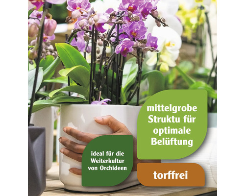 Orchidee in weissem Topf mit Hinweisen zur Belüftung und Torffreiheit