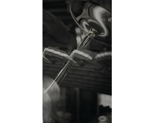 Weinregal mit Weingläsern