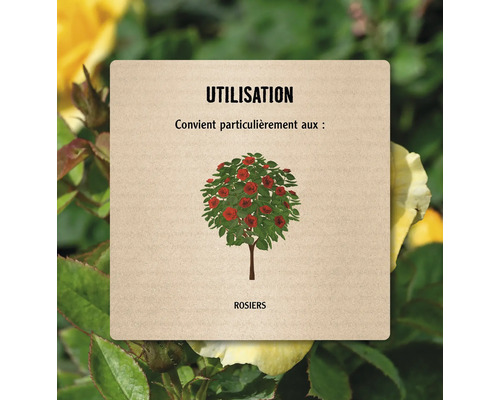 Symbole pour l''utilisation des rosiers