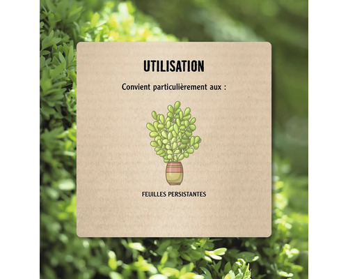 Convient aux plantes à feuilles persistantes