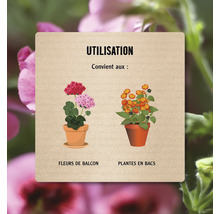 Informations sur l''utilisation avec des fleurs de balcon et des plantes en bacs