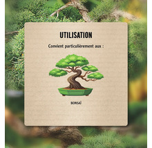 Informations sur l''utilisation du bonsaï