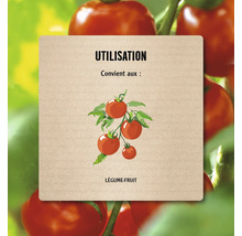 Utilisation: Convient aux légumes-fruits.
