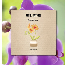 Conseil d''utilisation: Convient aux orchidées.