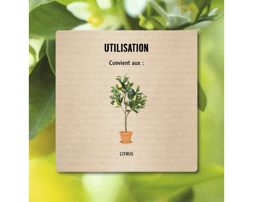 Panneau d''information sur l''utilisation des agrumes