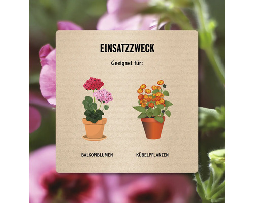 Illustration zeigt Anwendungszweck von Balkon- und Kübelpflanzen.