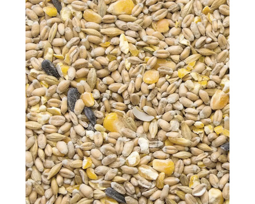 Gros plan d''aliments pour oiseaux avec des céréales et des graines de tournesol