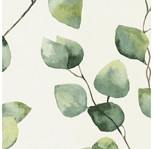 Illustration avec feuilles et branches d''eucalyptus