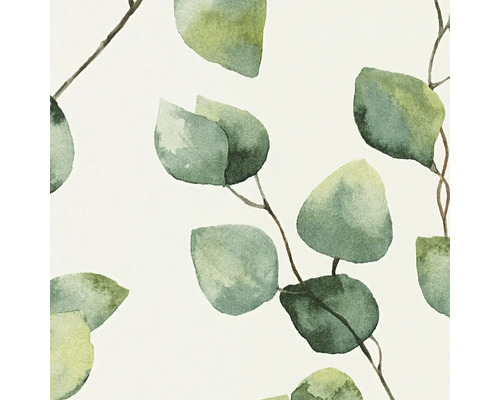 Illustration avec feuilles et branches d''eucalyptus