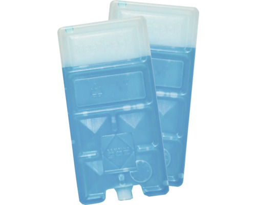 Zwei Kühlakkus für Kühlboxen