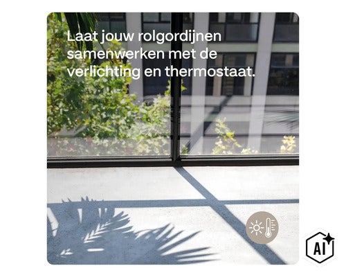 Vue à travers une fenêtre sur un jardin avec l'ombre d'une feuille de palmier au sol et une icône pour le contrôle intelligent du climat. (Image AI modified or generated)