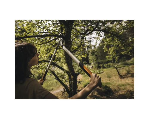 Une femme taille un arbre avec un ébrancheur