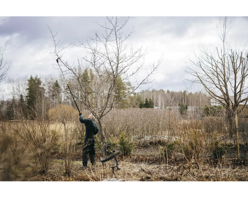 Une personne taille un arbre avec un ébrancheur dans le jardin.