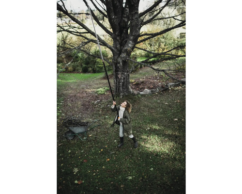 Une femme utilise un sécateur à manche télescopique sous un arbre dans le jardin.