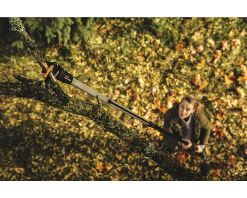 Une femme utilise un ébrancheur à manche télescopique pour tailler un arbre.