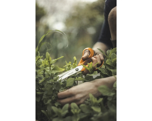 Gartenschere schneidet Pflanze im Garten