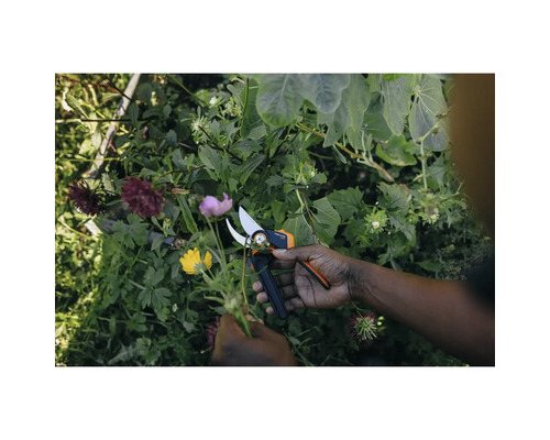 Jardinage avec un sécateur dans un jardin
