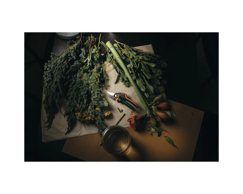 Sécateur avec fleurs fraîches et plantes vertes