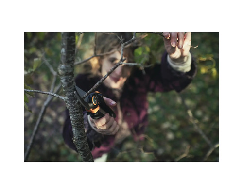 Femme coupant une branche avec un sécateur.