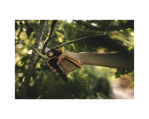 Une personne coupe une branche avec un sécateur.