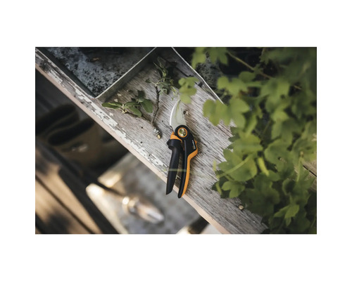 Sécateur sur surface en bois avec branche coupée