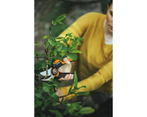 Une femme coupe un arbuste avec un sécateur
